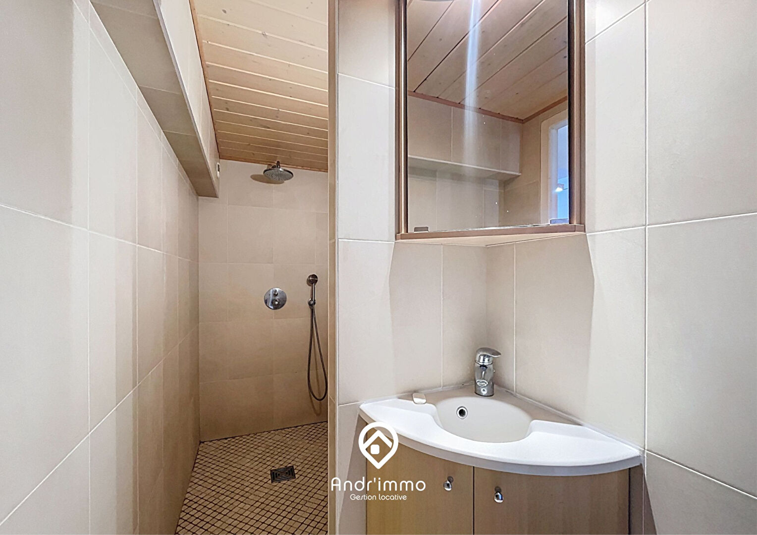 ELEVIA – Duplex meublé de 100m² carrez + 51m² hors carrez – LYON 02 CARNOT